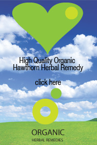 Organic hawthorn tincture can help with heart disease, angina and palpitations